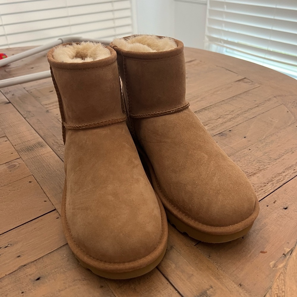 Ugg Mini Boots